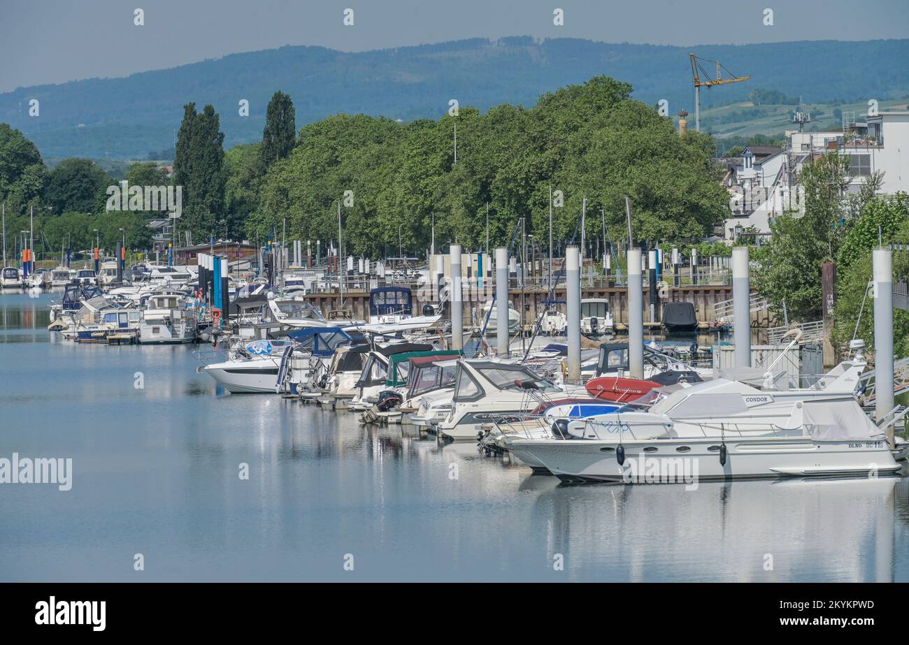 Marina, Boote, Hafen, Schierstein, Wiesbaden, Hessen, Deutschland Stockfoto