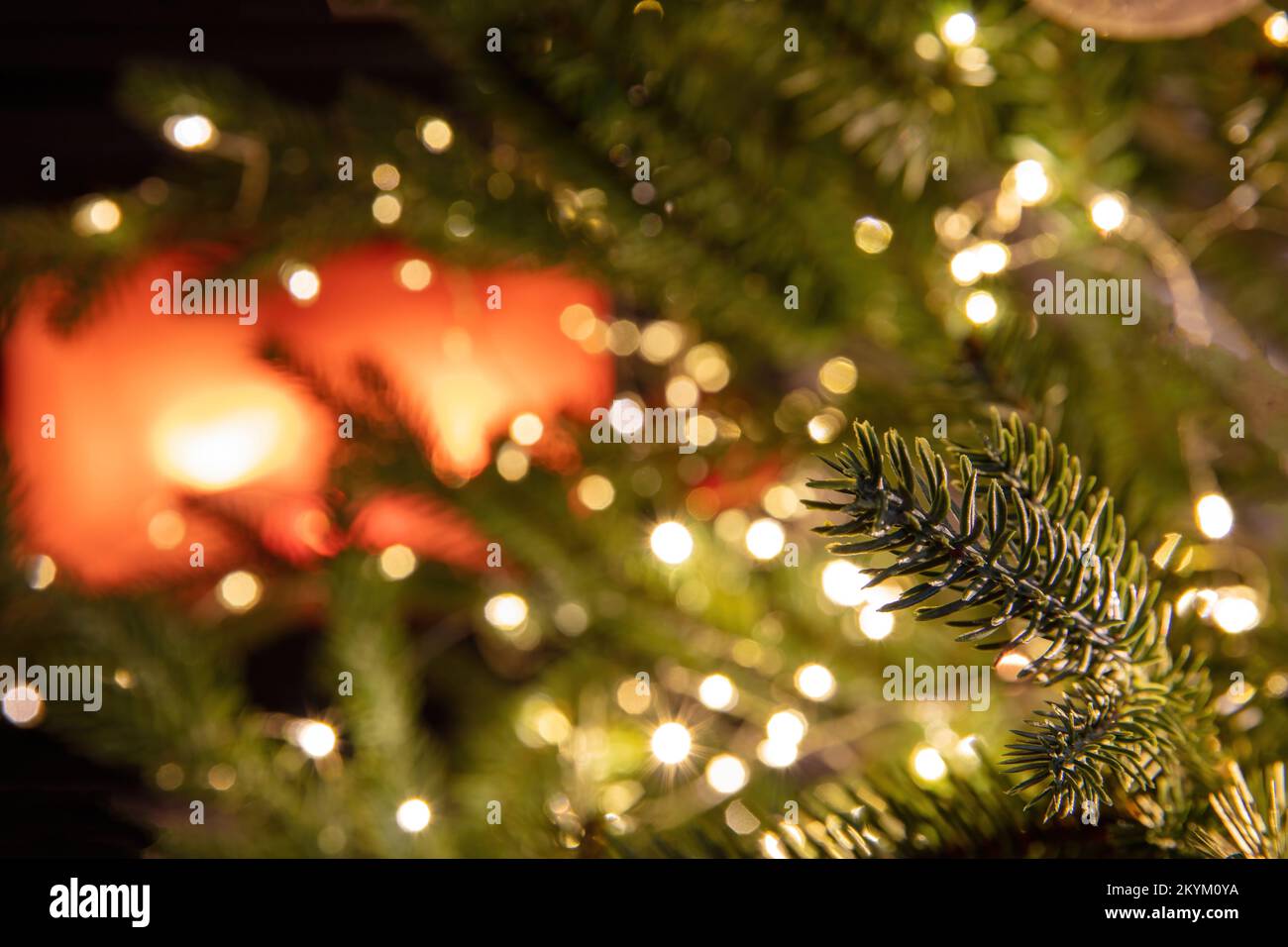 Hintergrund zu Weihnachten. Weihnachtsbaum und Lichter aus nächster Nähe, brennender Kamin, Kopierraum. Stockfoto