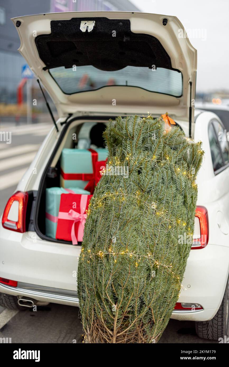 Weihnachtsbaum und Geschenkschachteln im Kofferraum Stockfoto