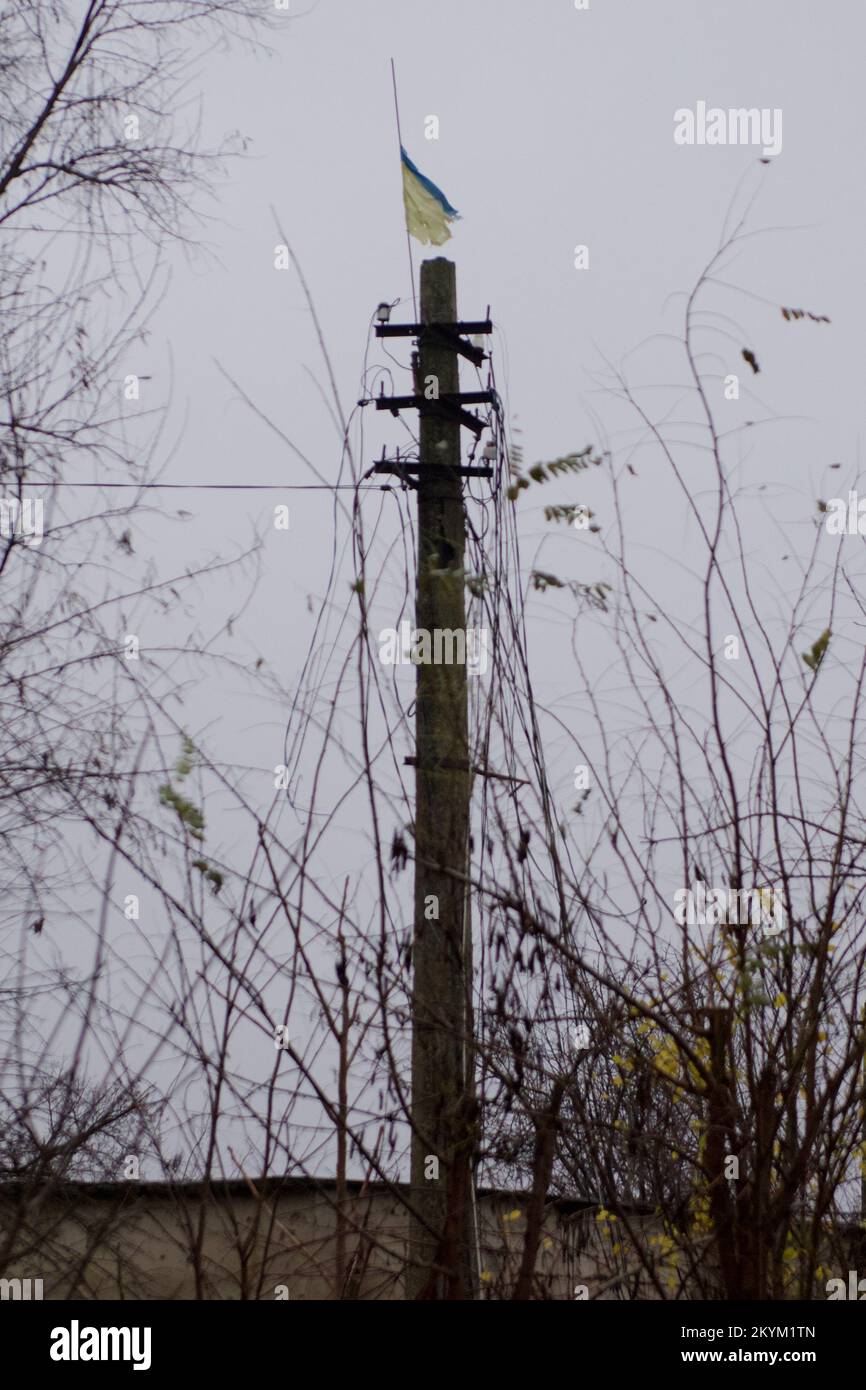 Berichten Sie Fotos aus der freilebenden Region Kherson Stockfoto