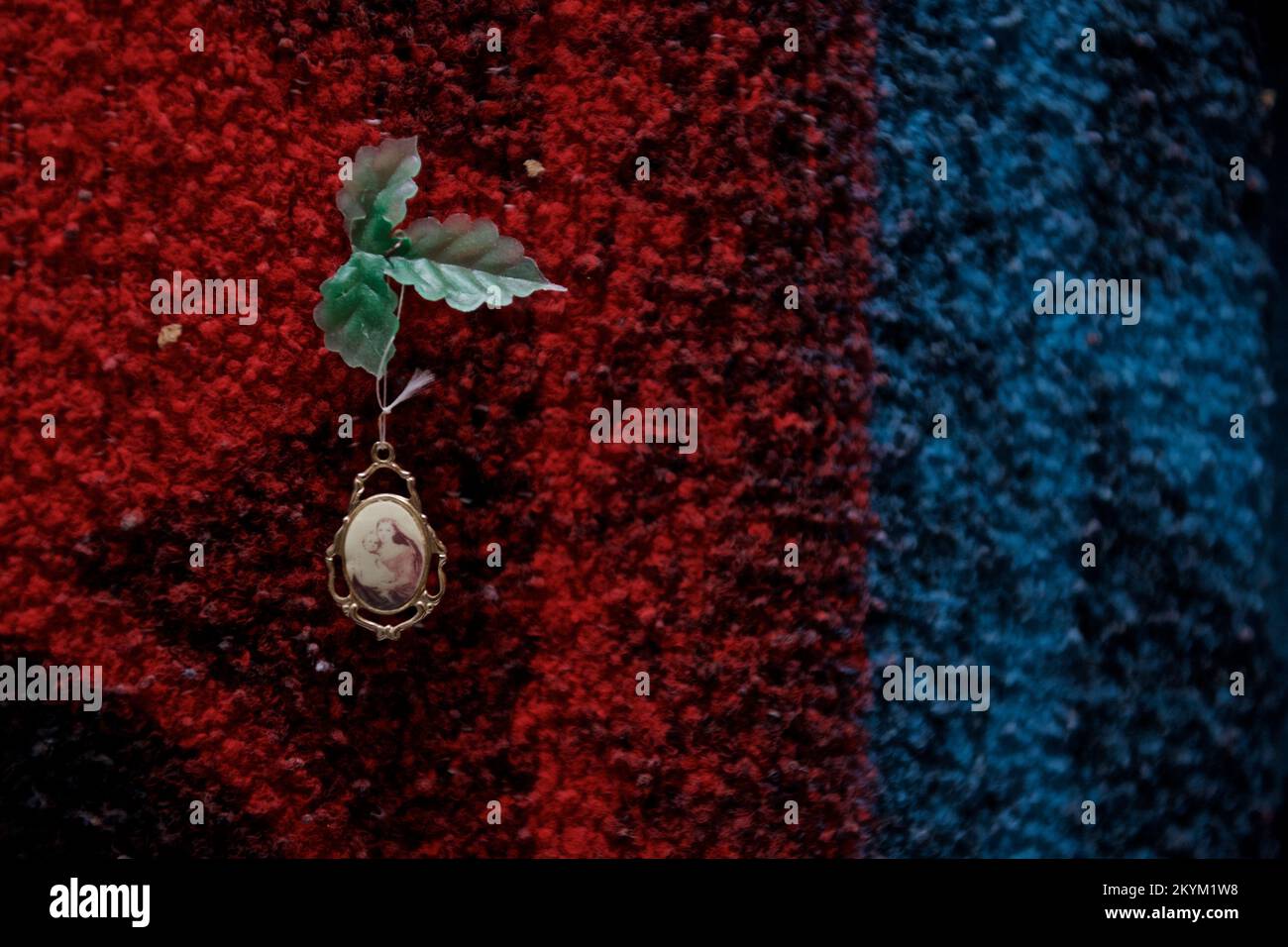 Berichten Sie Fotos aus der freilebenden Region Kherson Stockfoto