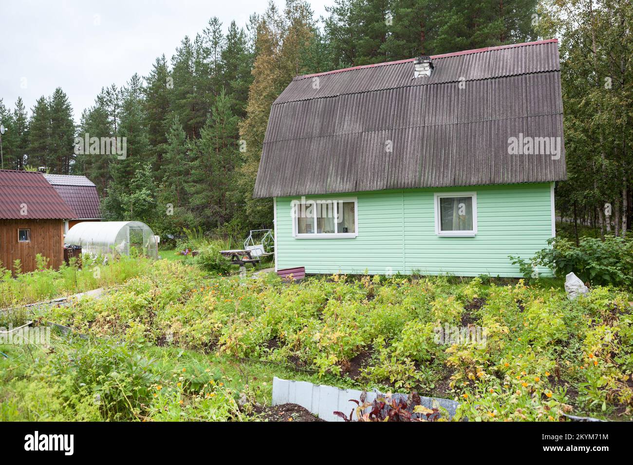 Kleines Land-Sommerhaus mit grüner Außendekoration und Gemüsegarten Stockfoto