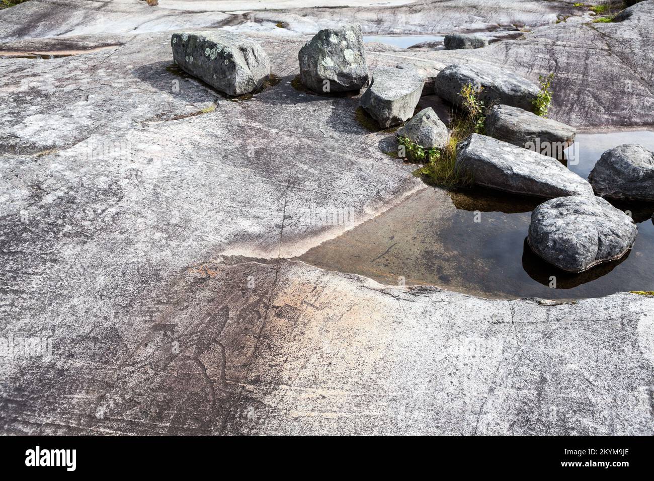 Die Petroglyphen des Weißen Meeres sind auf der Felswand. Archäologischer Komplex Zalavruga in der Nähe von Belomorsk, Republik Karelien, Russland Stockfoto