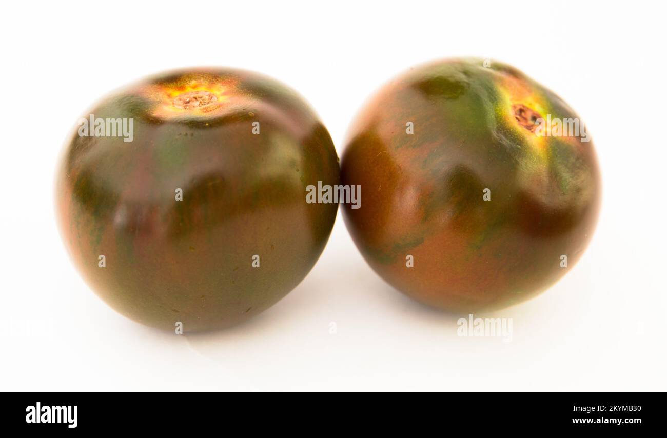 Reife schwarze Tomaten auf weißem Hintergrund Stockfoto