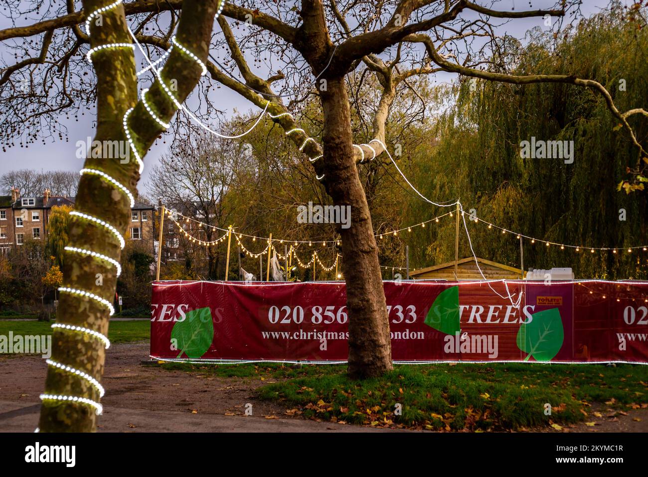 Hampstead Heath in North London. Ein Weihnachtsbaumunternehmen, das Bäume aller Größen in einer einladenden Lage am Rand der berühmten Heath verkauft Stockfoto