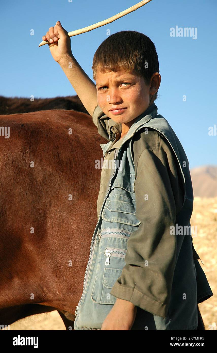 Bamyan (Bamiyan) / Zentralafghanistan: Ein kleiner Junge neigt dazu, auf einer Farm in Bamyan Ochsen zu schlagen. Stockfoto