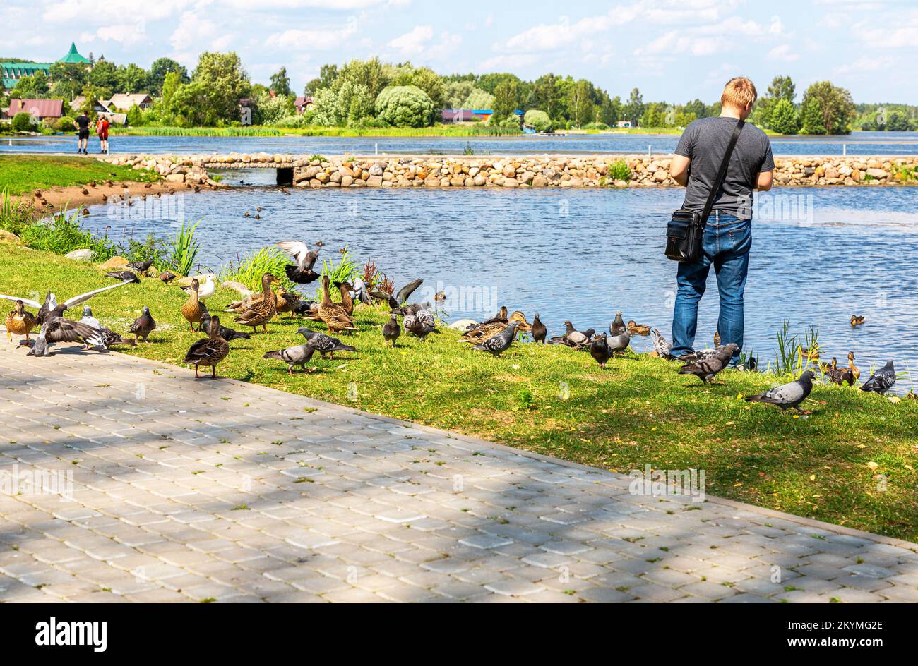 Valdai, Russland - 6. August 2022: Мan füttert Tauben und Enten im Sommer am Ufer des Valdai-Sees Stockfoto