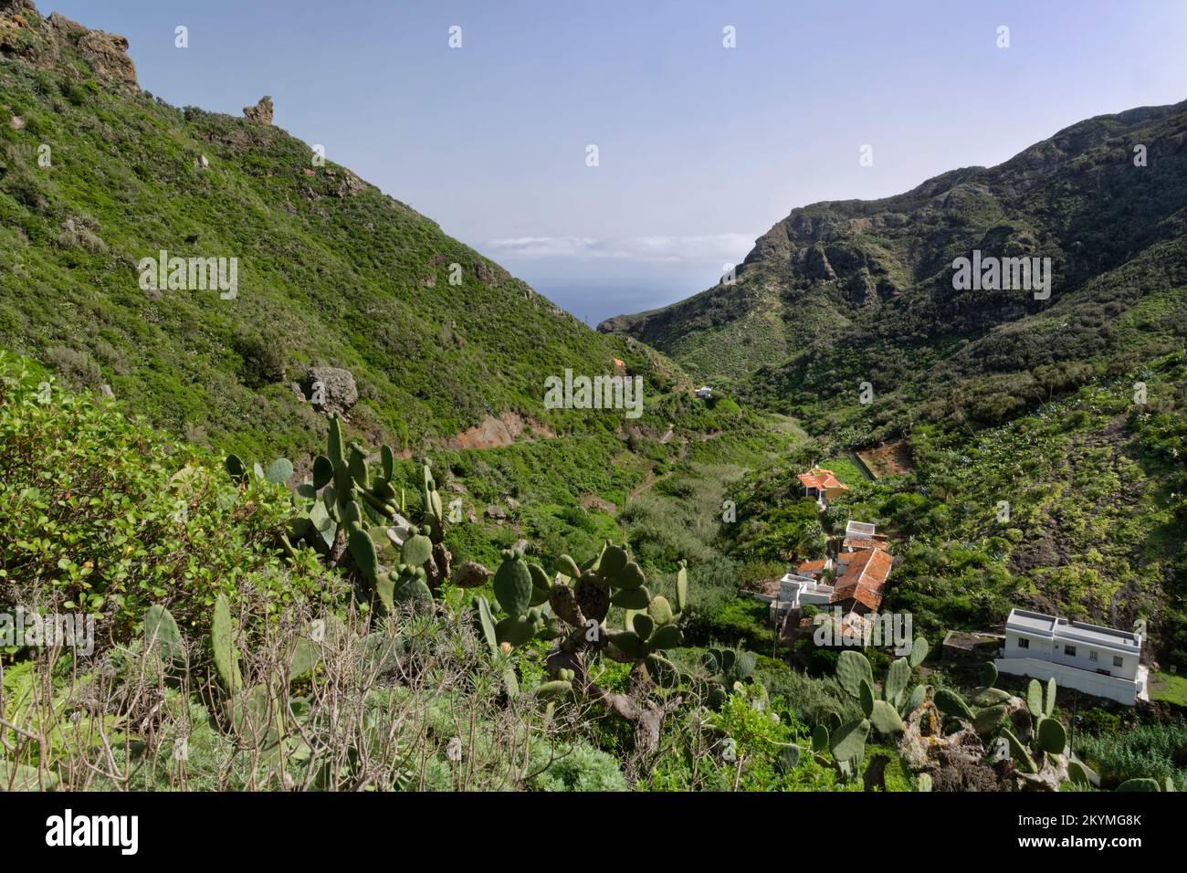 Überblick über das Dorf Chamorga und den Barranco de Roque Bermejo, das Anaga-Gebirge, Teneriffa, die Kanarischen Inseln, Spanien, November. Stockfoto