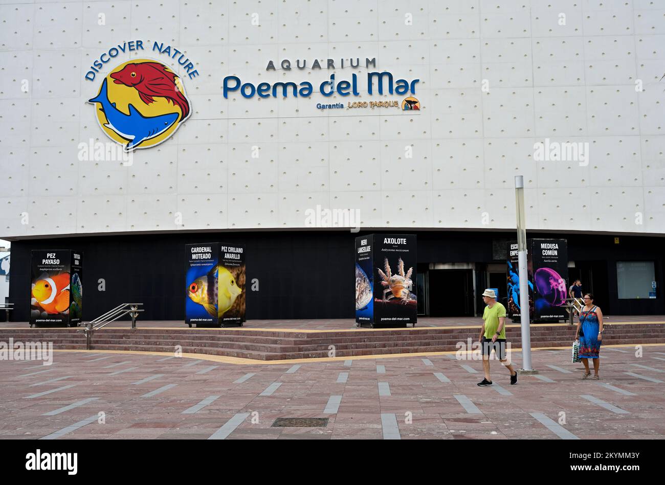 Aquarium Poema del Mar Las Palmas, Gran Canaria Stockfoto