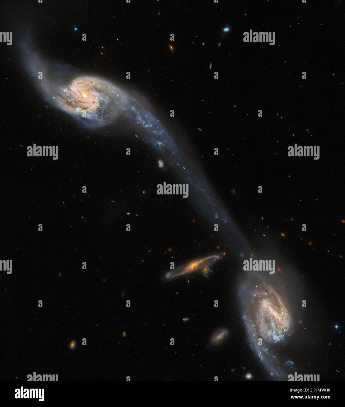 Dieses Bild des NASA/ESA Hubble Space Telescope zeigt zwei der Galaxien im galaktischen Triplet Arp 248 – auch bekannt als Wild's Triplet – das in der Konstellation Jungfrau etwa 200 Millionen Lichtjahre von der Erde entfernt liegt. Die beiden großen spiralförmigen Galaxien, die in diesem Bild sichtbar sind – die eine kleinere, nicht verwandte Hintergrund-Spiralgalaxie flankieren – scheinen durch eine leuchtende Brücke miteinander verbunden zu sein. Dieser verlängerte Strom von Sternen und interstellarem Staub ist bekannt als Gezeitenschwanz und wurde durch die gegenseitige Anziehung der beiden Vordergrundgalaxien gebildet. Diese Beobachtung stammt aus einem Projekt, das sich durchsetzt Stockfoto