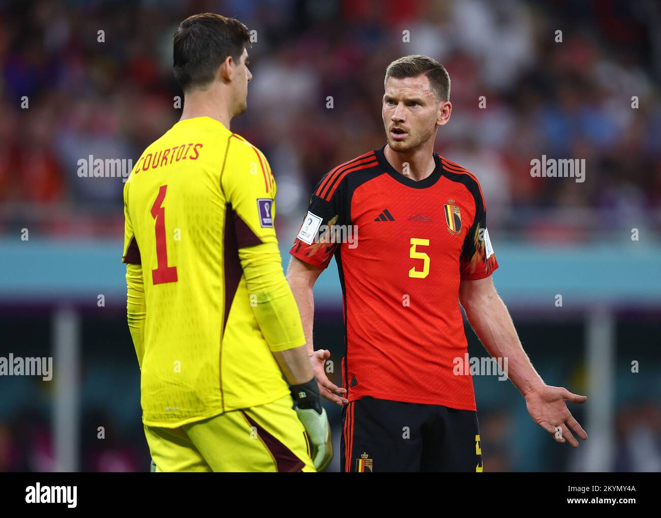 Al-Rayyan, Katar, 1.. Dezember 2022. Thibaut Courtois (Belgien) und Jan Vertonghen (Belgien) erörtern während des Spiels der FIFA-Weltmeisterschaft 2022 im Ahmad bin Ali-Stadion, Al Rayyan, den Strafanspruch Kroatiens. Der Bildausdruck sollte lauten: David Klein / Sportimage Credit: Sportimage/Alamy Live News Credit: Sportimage/Alamy Live News Stockfoto