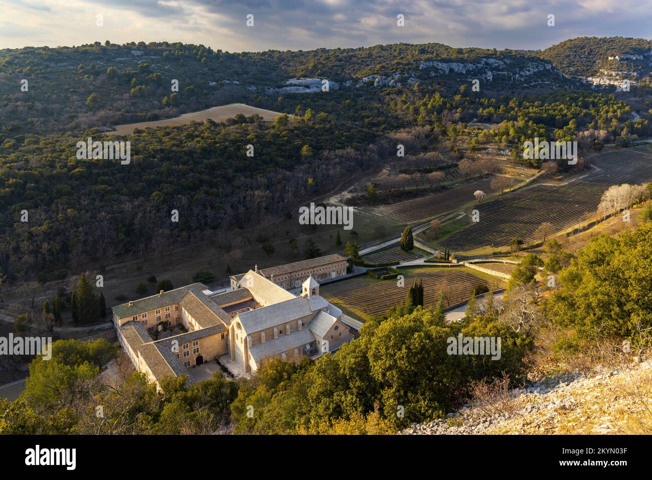 Abtei Senanque, Provence-Alpes-Cate d'Azur, Frankreich Stockfoto