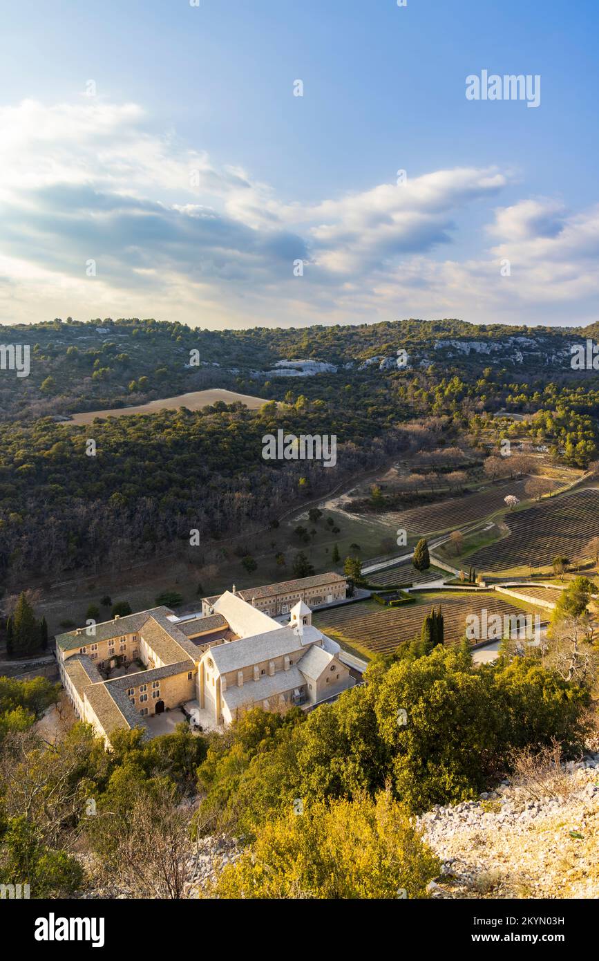 Abtei Senanque, Provence-Alpes-Cate d'Azur, Frankreich Stockfoto