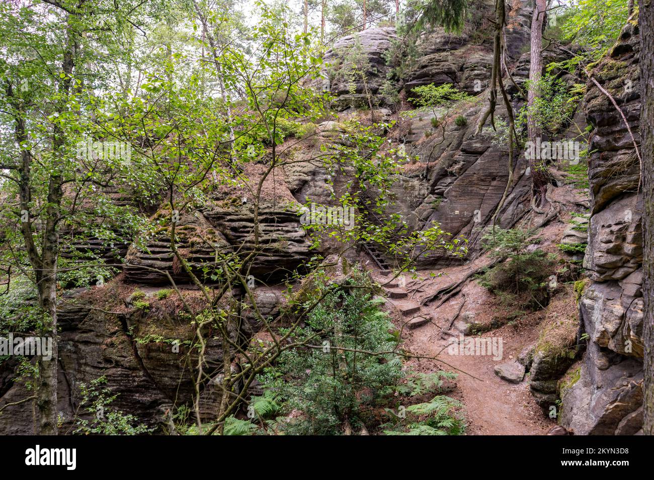 Sächsische Schweiz Elbsandsteingebirge Stockfoto