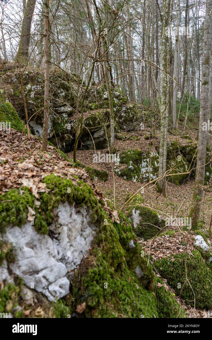 Karstlandschaft im Winter im slowenischen Wald Stockfoto