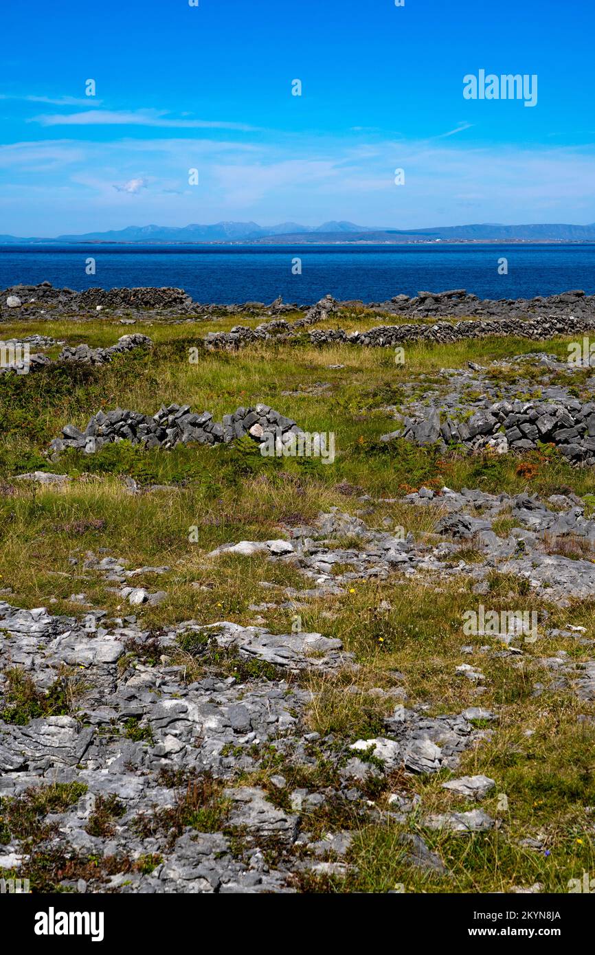 Trockene Steinmauern, Inishmore, die größte der Aran-Inseln, Galway, Irland Stockfoto