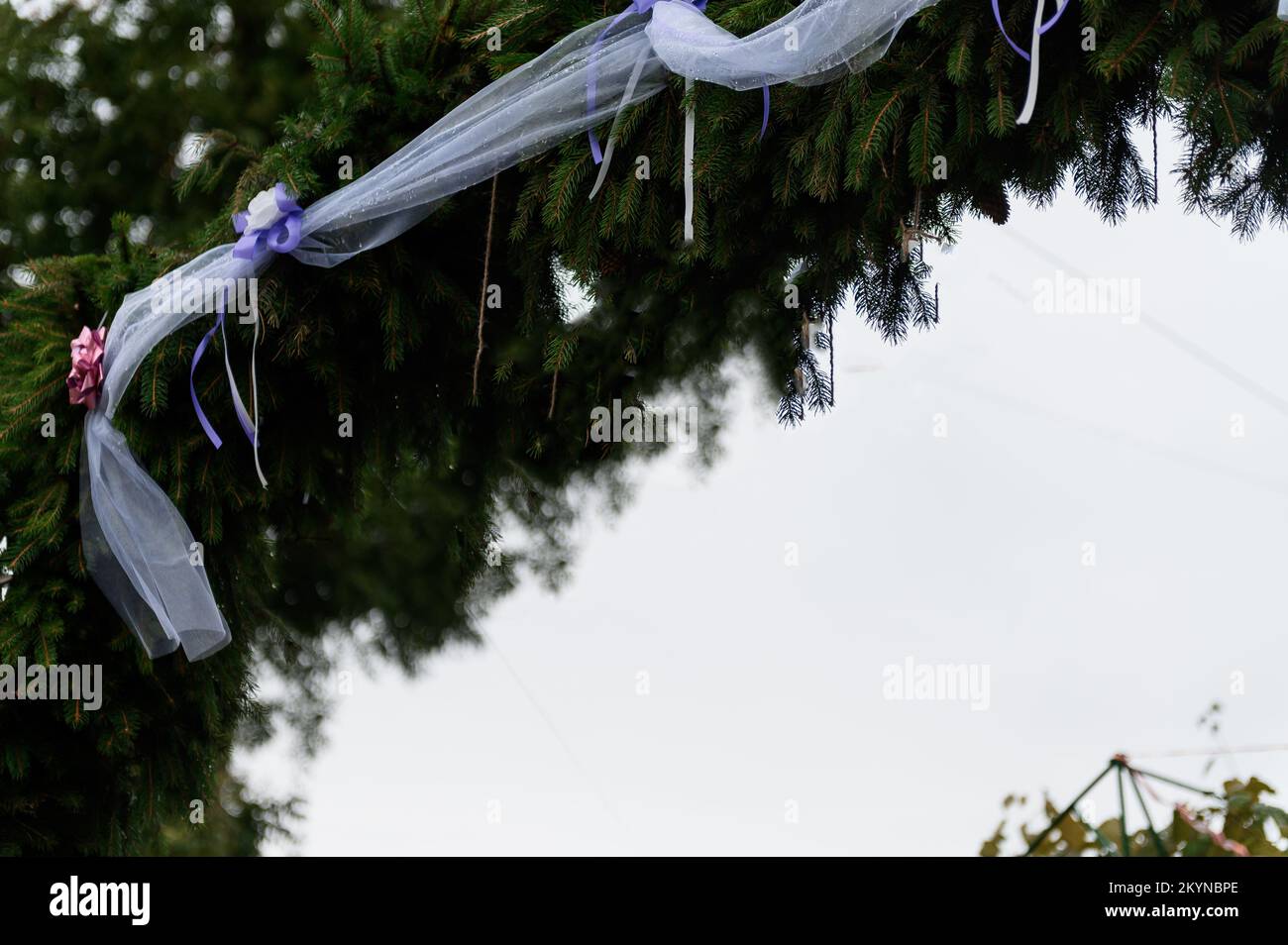 Hochzeitsbogen aus Fichte, Blumen und Ballons. Feier einer Kinderparty. Stockfoto