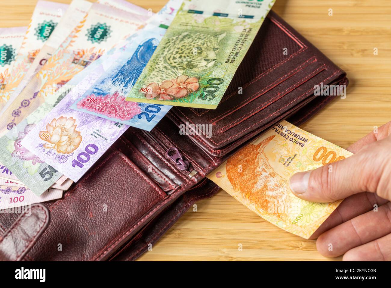 Hand, die 1000-Pesos-Scheine aus der Brieftasche nimmt, argentinisches Geld, Wirtschaftskonzept, steigende Preise, Umdenominierung und Gelddruck Stockfoto