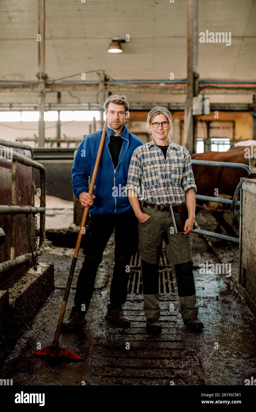 Lächelnde Bauern, die auf der Viehzucht zusammenstanden Stockfoto
