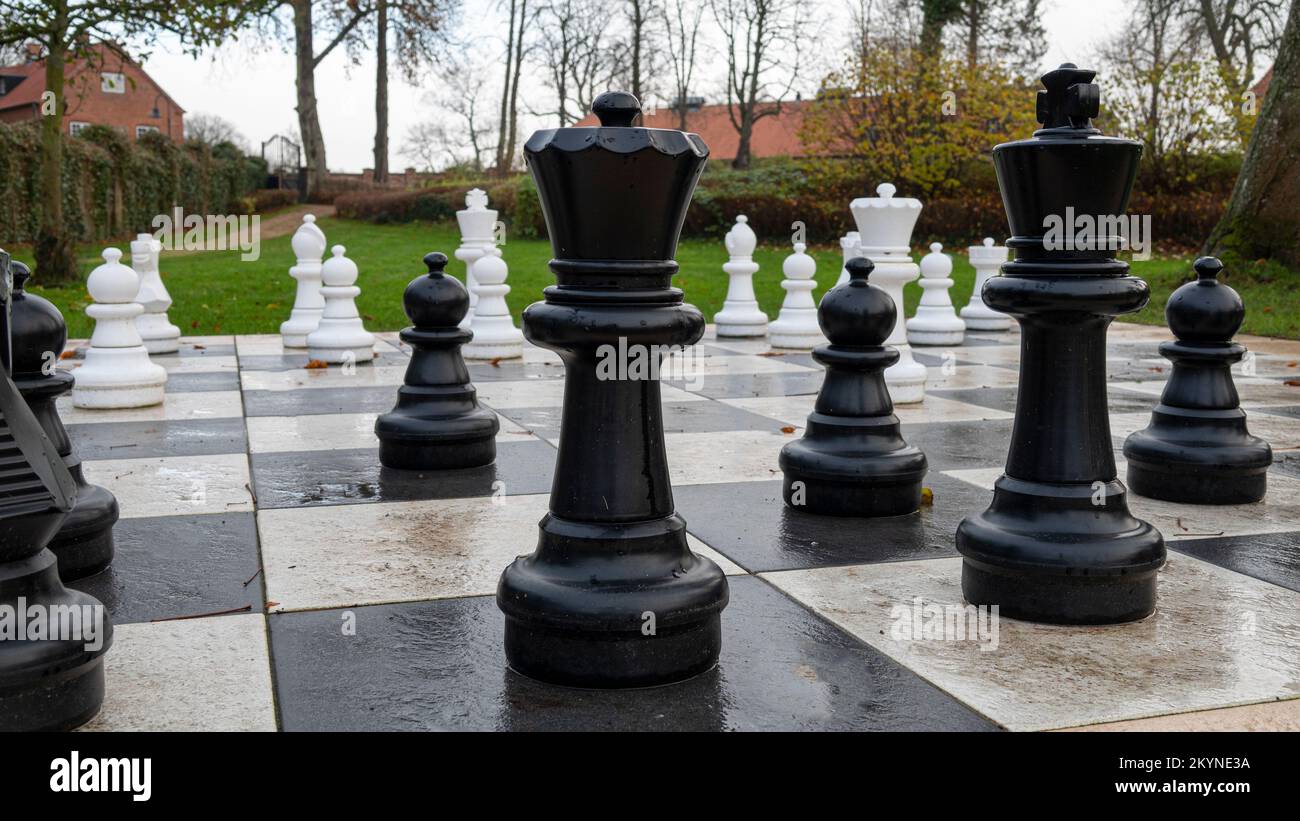 Großes Schachbrett in einem Park. Nahaufnahme der schwarzen Bauern Königin und König. Stockfoto