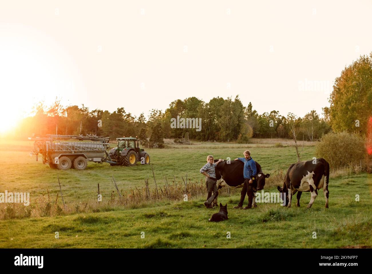 Bauern mit Hund und Kühen auf dem Feld bei Sonnenuntergang Stockfoto