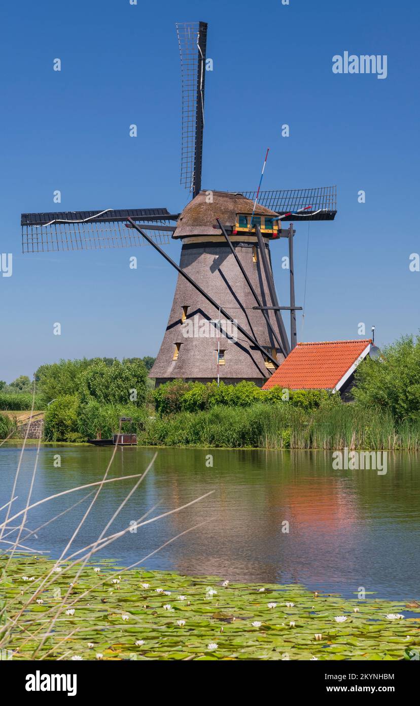 Holland, Südholländische Provinz, Kinderdijk, eine der 19 Windmühlen des Dorfes, die im 18.. Jahrhundert erbaut wurde. Stockfoto