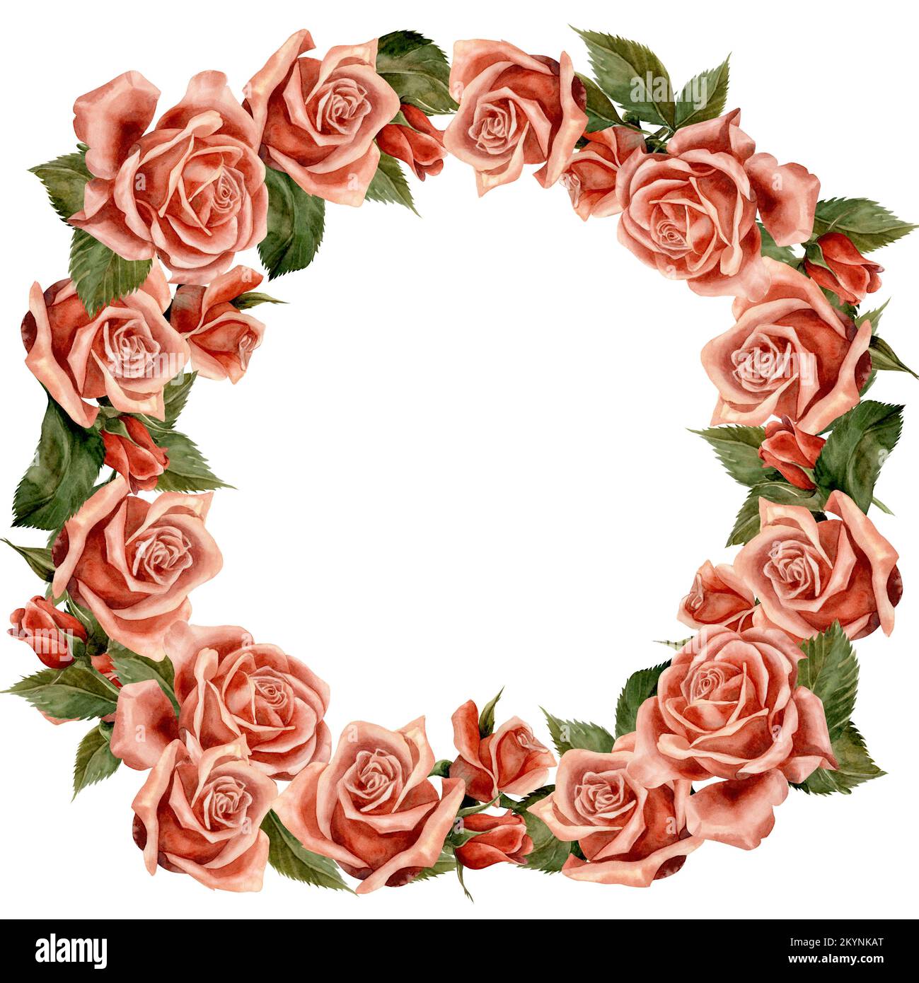 Rose. Rahmen. Aquarell. Abbildung für Clipart. Entwickelt für Blumenstudios, Weihnachtsdekoration, Hochzeiten, Verpackungen, Textilien, Webdesign, Website Stockfoto