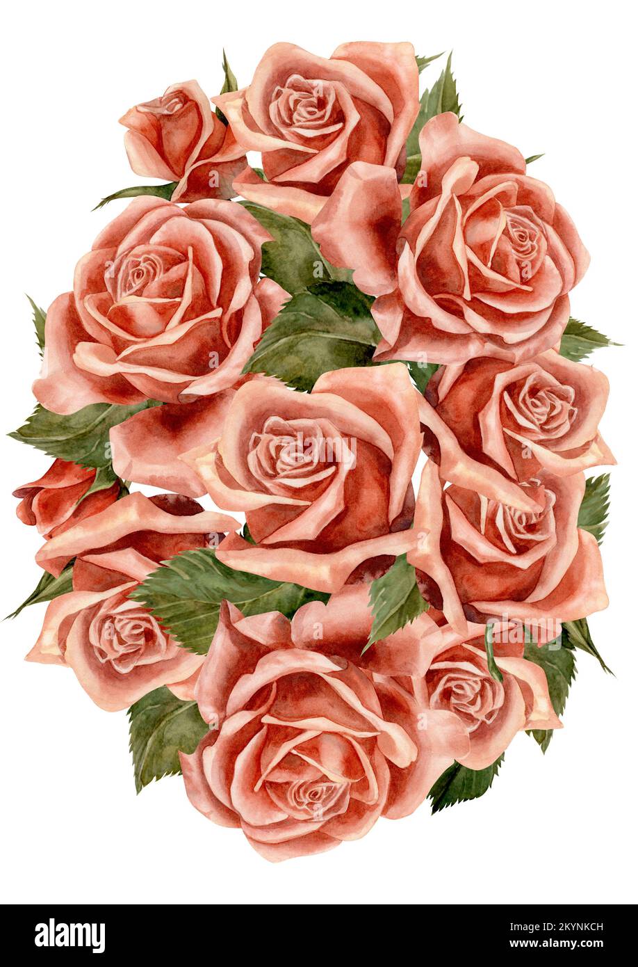 Rose. Rahmen. Aquarell. Abbildung für Clipart. Entwickelt für Blumenstudios, Weihnachtsdekoration, Hochzeiten, Verpackungen, Textilien, Webdesign, Website Stockfoto