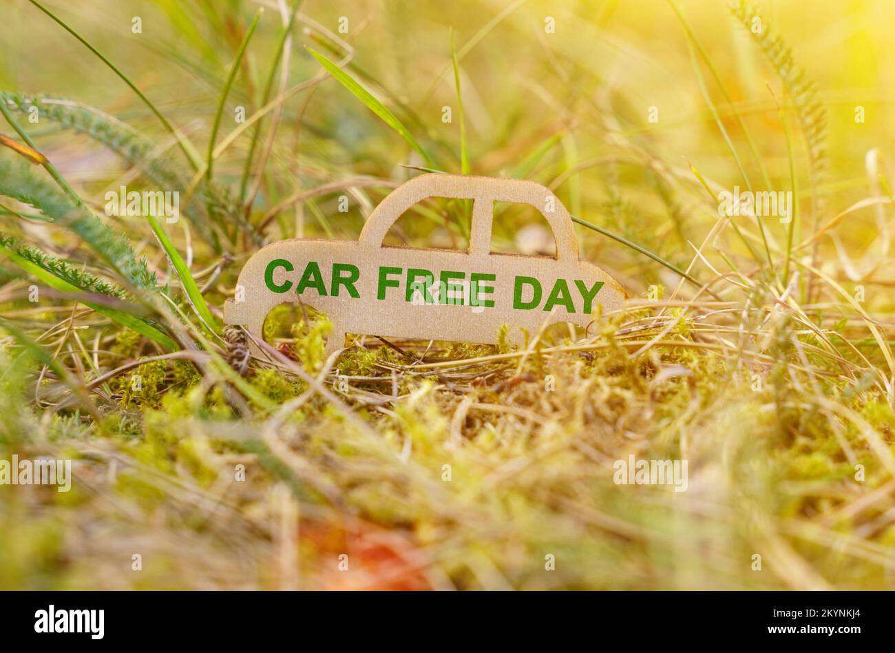 Ökologie und Transportkonzept. Es gibt ein hölzernes Auto im Gras, auf dem steht: Auto-freier Tag Stockfoto
