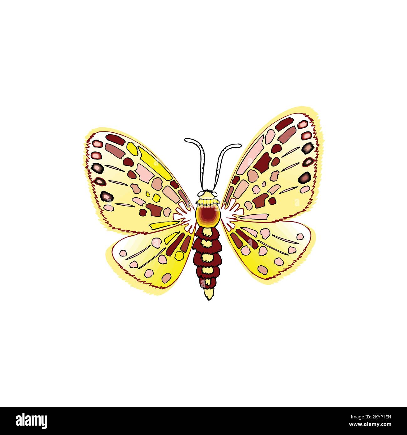 Die Kunst der Glossulariata-Schmetterlingsvektorschablone mit weißem Hintergrund Stock Vektor