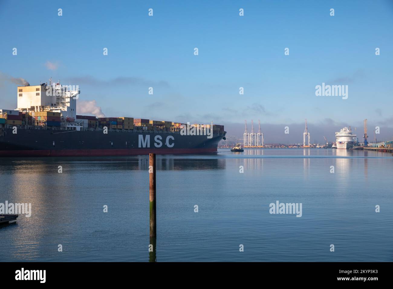 MSC-Frachtschiff in Southampton, Hampshire, Großbritannien Stockfoto