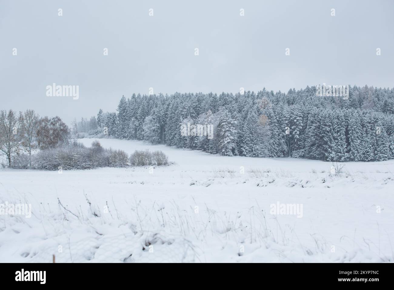 Winterlandschaft im Waldviertel, Osterreich Stockfoto