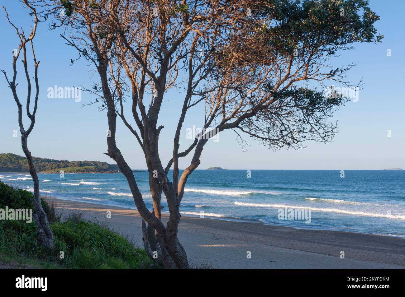 Park Beach im Morgenlicht, Coffs Harbour, New South Wales, Australien. Stockfoto