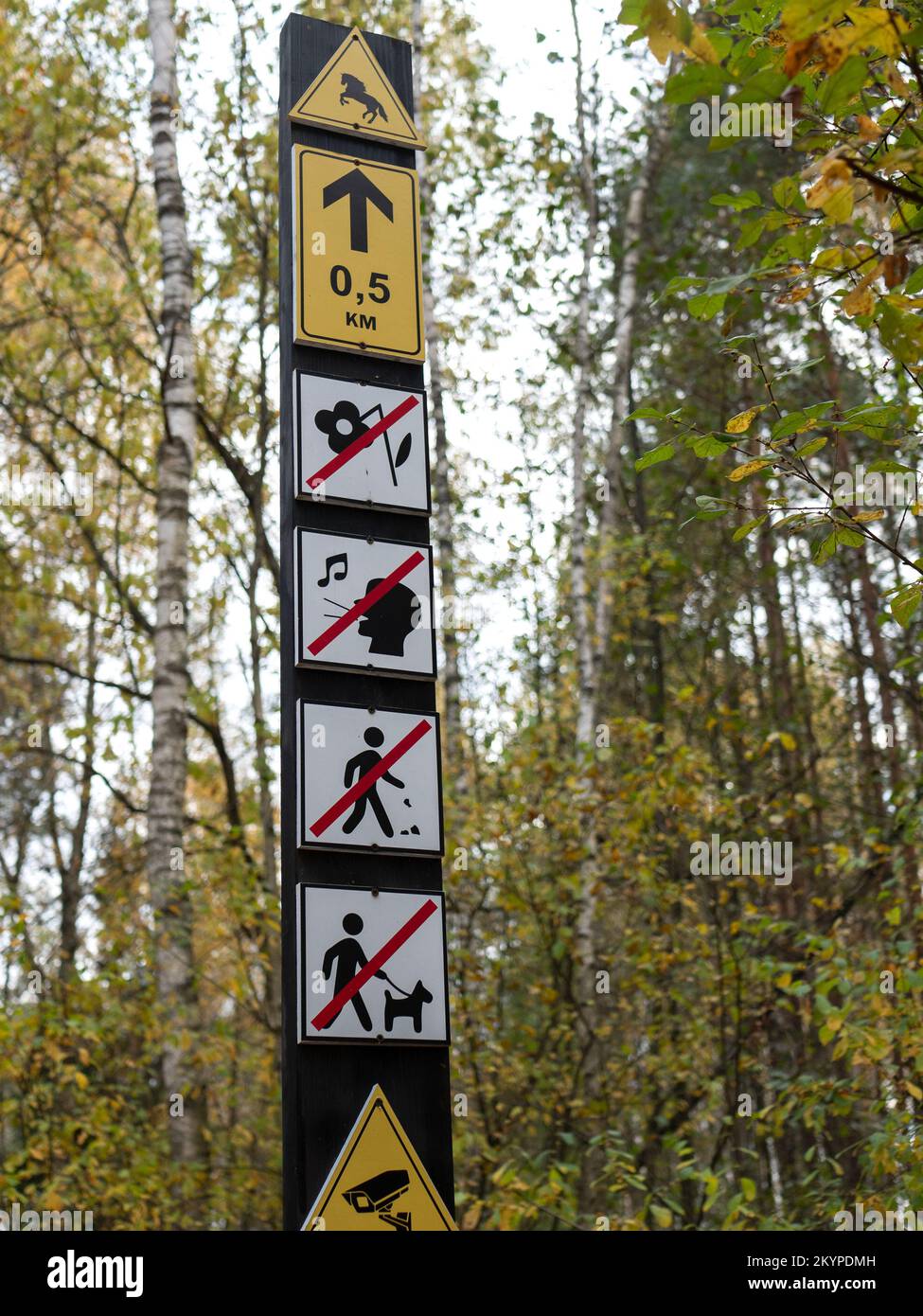 Informatives Schild, das darauf hinweist, dass man die Blumen nicht pflücken, nicht streuen, keine Hunde mitbringen und keinen Lärm im Wald machen sollte, selektiver Fokus Stockfoto