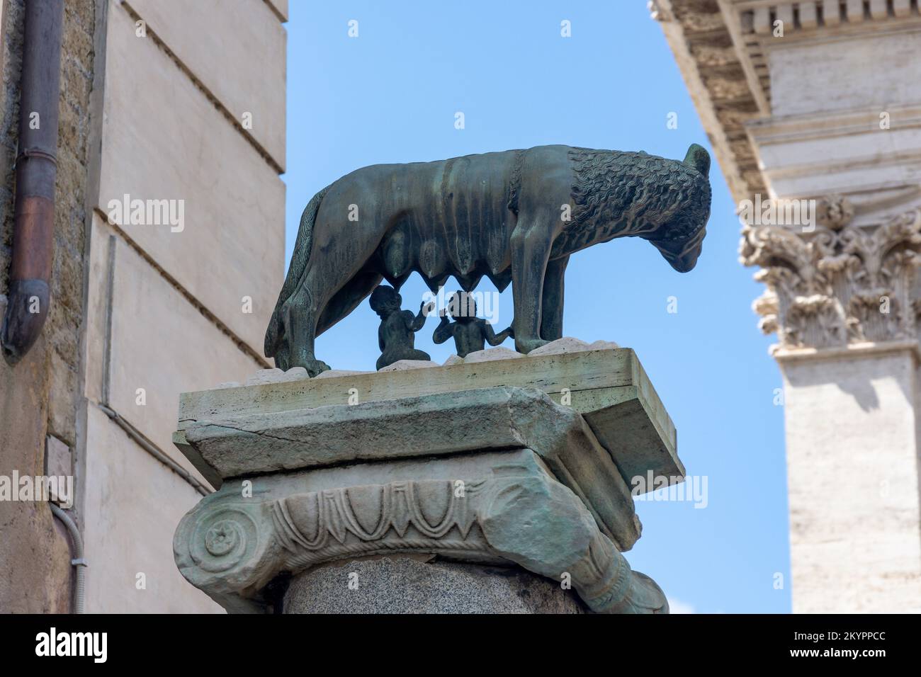 Kapitolinische Wolfsskulptur mit den Kindern Romulus und Remus, Piazza del Campidoglio, Zentrum von Rom, Rom (Rom), Region Latium, Italien Stockfoto