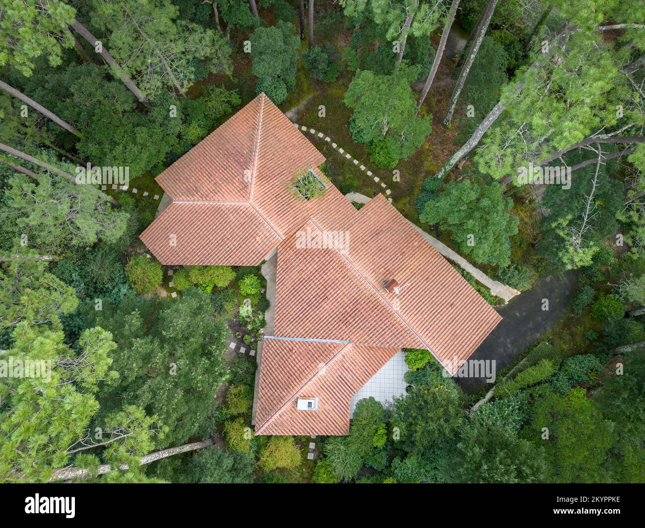Blick aus der Vogelperspektive auf das Dach eines Architekten im Wald von Landes (Hossegor, Landes, New Aquitaine, Frankreich). Stockfoto