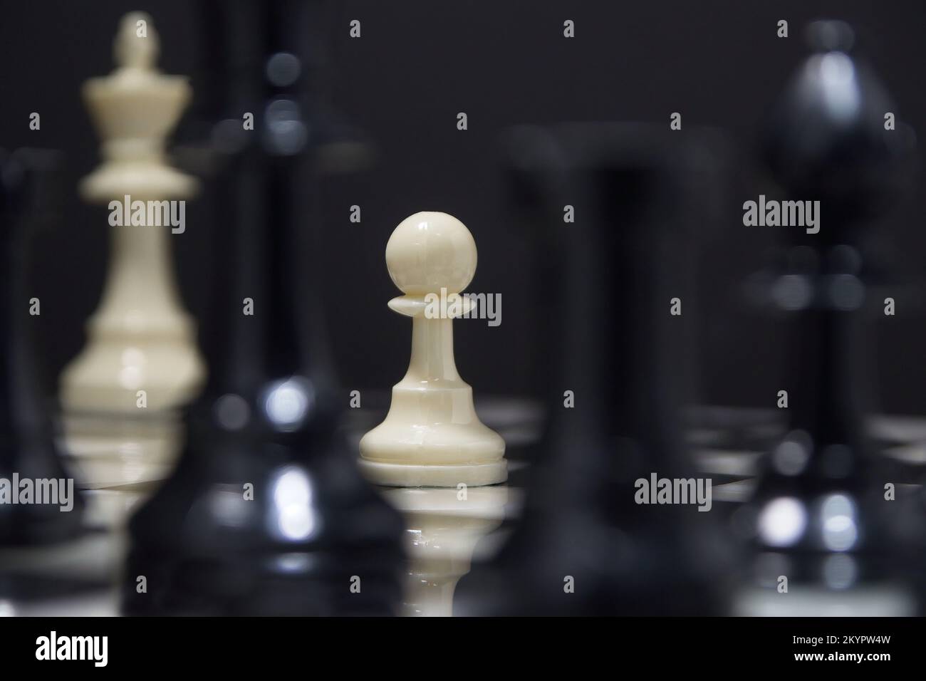 Schutz um jeden Preis: Vor einer Ansammlung von Raubtieren in einem strategischen Schachspiel stellt sich ein einsamer Bauer der Herausforderung, seinen König zu schützen. Stockfoto