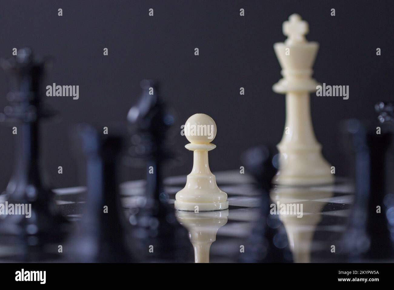 Schachspiel: Kurz vor dem Ende eines strategischen Schachspiels starrt ein einzelner Bauer gefährliche Raubtiere an und stellt sich der Herausforderung, seinen König zu schützen. Stockfoto