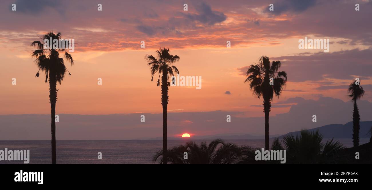 Sonnenuntergang über einer Bucht mit bunten Wolken und Vordergrundpalmen Stockfoto