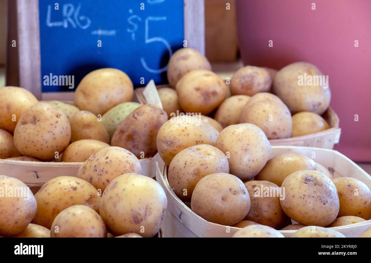 Frisch gegrabene Kartoffeln werden auf diesem US-amerikanischen Bauernmarkt in Michigan nach Korb verkauft Stockfoto