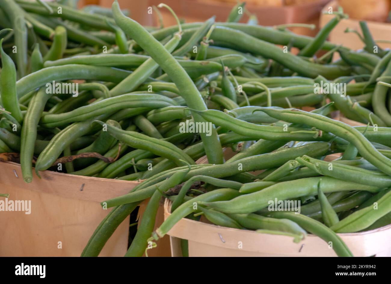 Frische grüne Bohnen zum Verkauf in Pint-Boxen auf einem Bauernmarkt in Michigan, USA Stockfoto