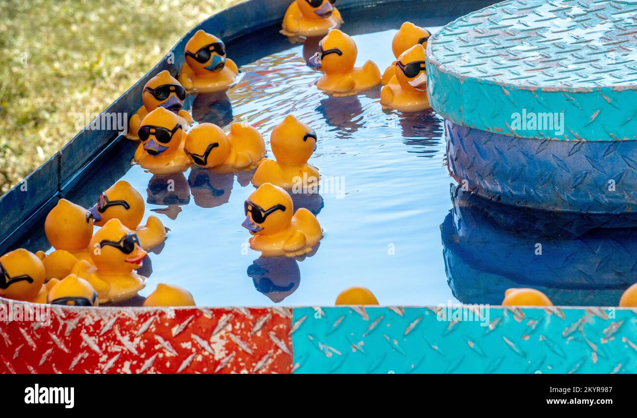 Gummienten schweben in einem kleinen Pool auf einem Jahrmarkt. Um zu spielen, wählt man eine Ente, und die Zahl darunter zeigt an, ob man einen Preis gewinnt Stockfoto