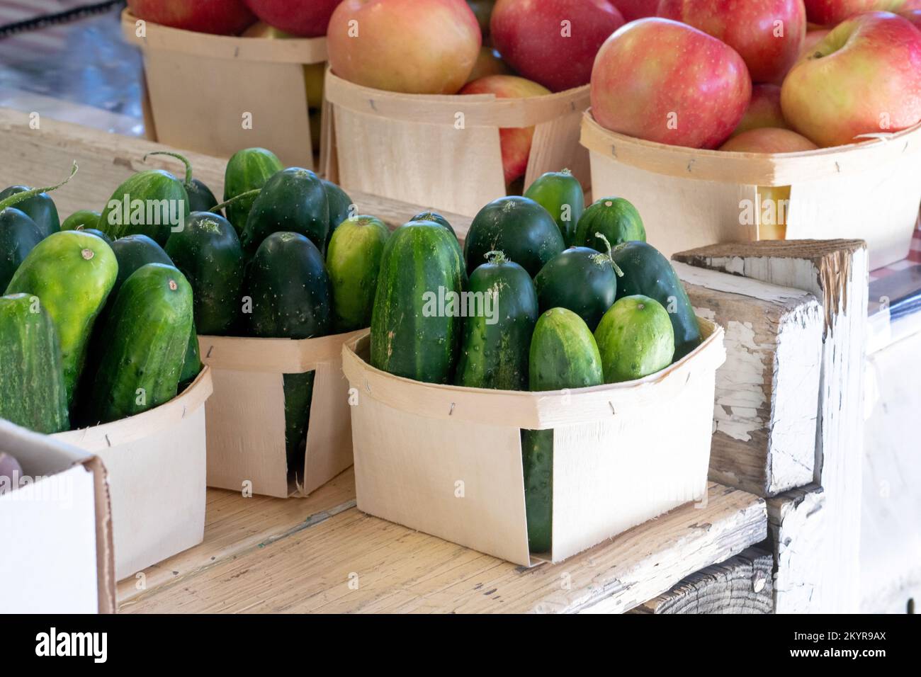 Auf diesem wunderbaren Bauernmarkt in den USA stehen neben Michigan-Äpfeln frische Gurken Stockfoto