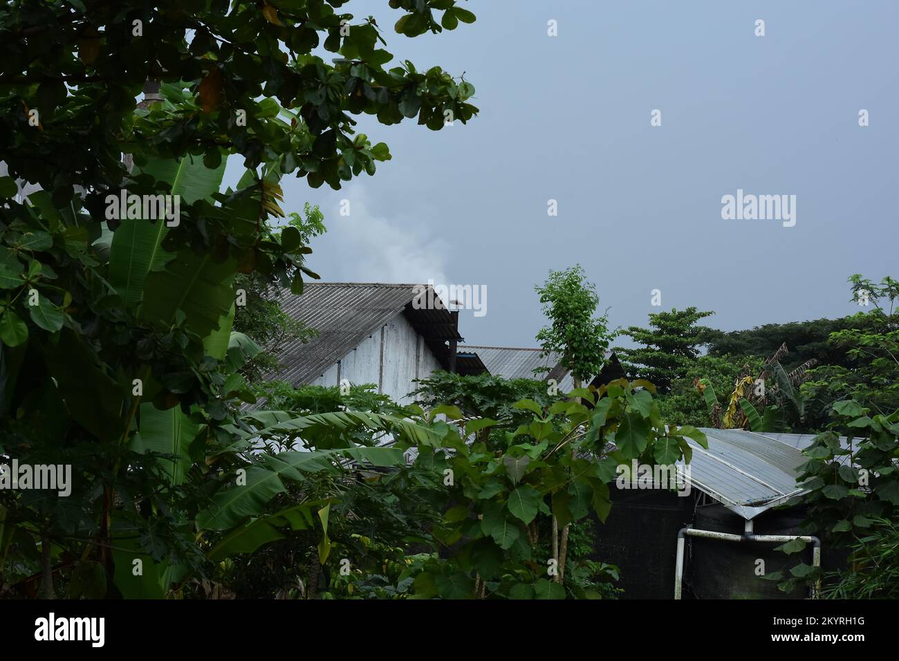 Der Rauch in der Fabrik bläst, eine der Ursachen der Luftverschmutzung durch die globale Erwärmung Stockfoto