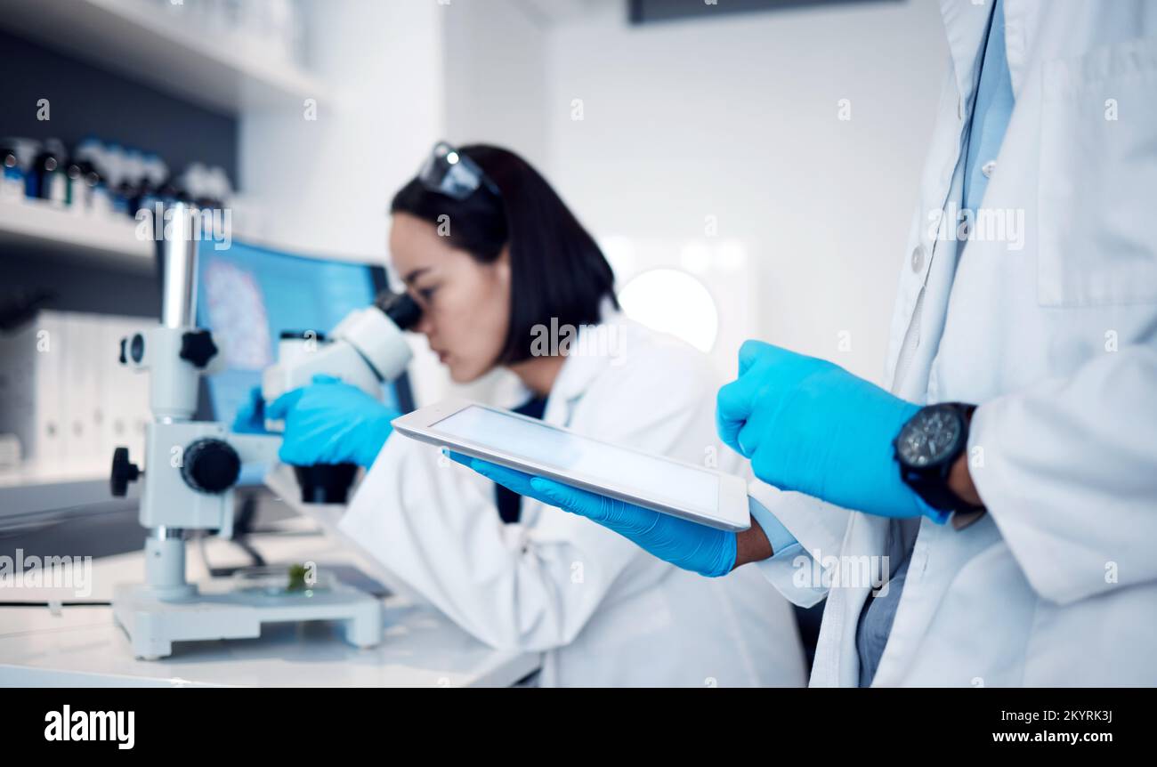 Wissenschaft, Medizin und Hände mit Tablet für die Forschung im Labor für Analysen, Biotechnologie und digitale Analysen. Gesundheitswesen, Technologie und Wissenschaftler Stockfoto