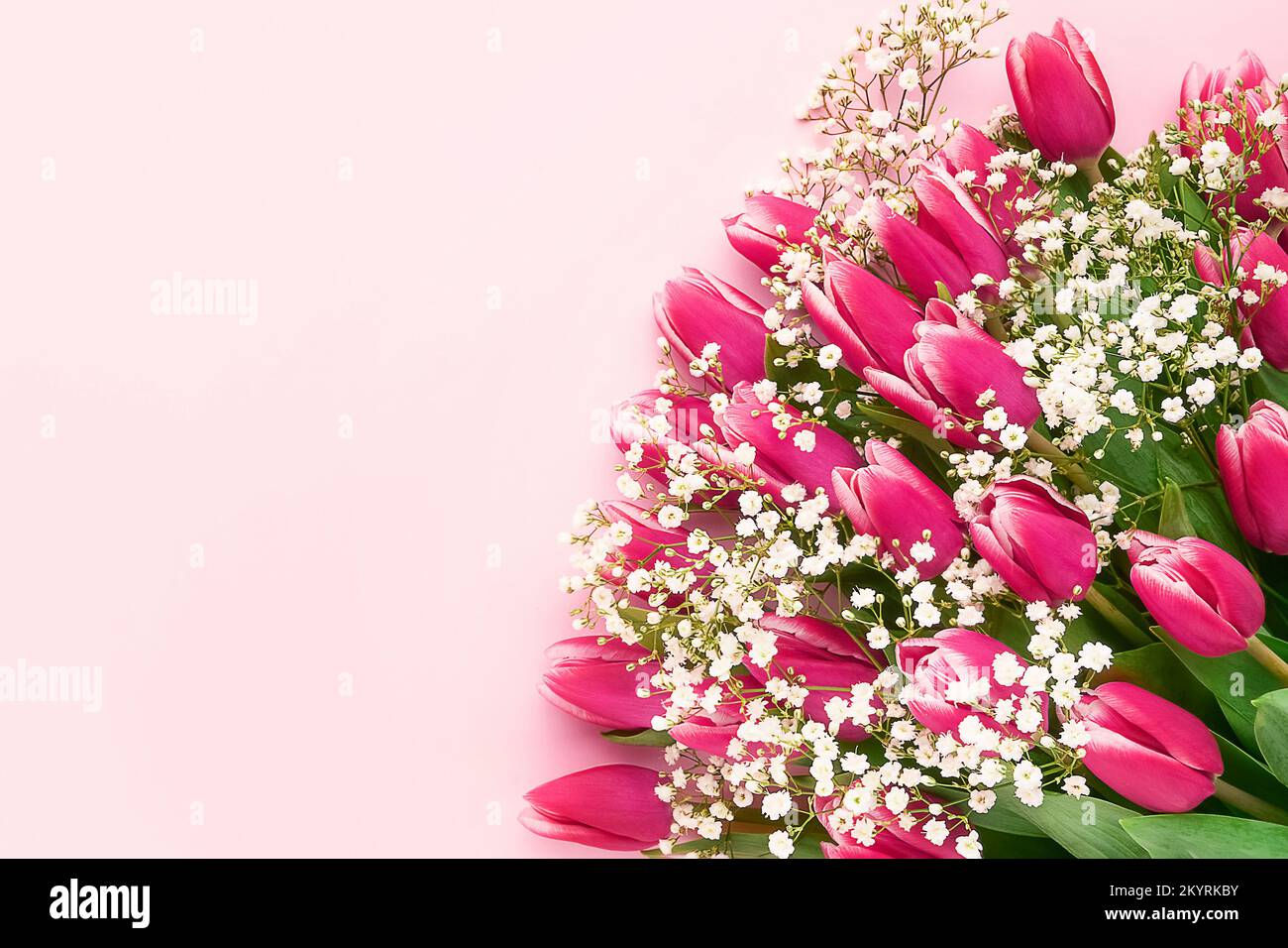 Pinke Tulpen und weiße Zigeunerblüten bouquet auf pinkfarbenem Hintergrund, selektiver Fokus. Muttertag, Geburtstagskonzept. Platz für Text kopieren Stockfoto