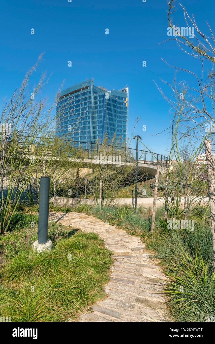 Wanderweg auf grasbewachsenem Land im Waterloo Park in Austin Texas an einem sonnigen Tag. Steinsteinpfade mit erhöhter Promenade und Gebäuden vor blauen s Stockfoto