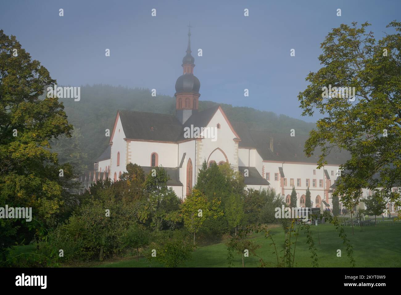 Morgennebel, Kloster Eberbach, Eltville, Hessen, Deutschland, Europa Stockfoto