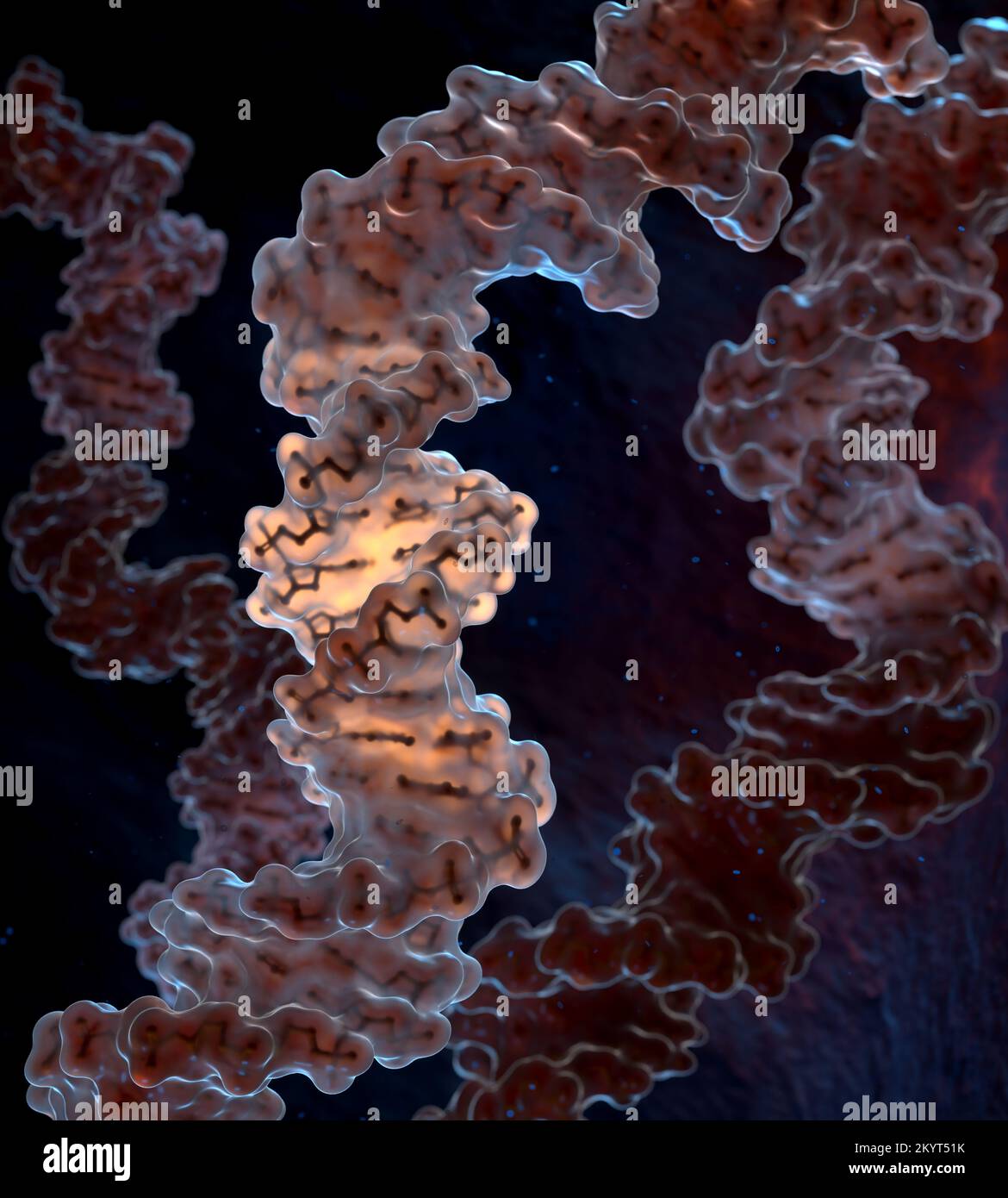 Spiralförmige DNA-Stränge auf dunklem Hintergrund. 3D Abbildung Stockfoto