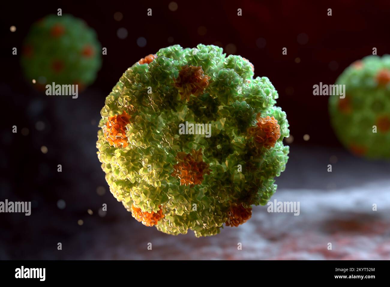 Human Papilloma Virus (HPV) ist ein DNA-Virus aus der Familie der Papillomavirus. 3D illustration Stockfoto